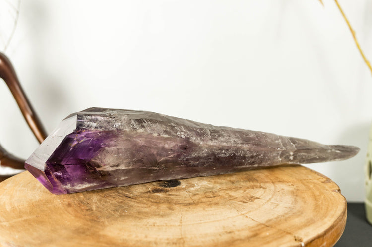 Dragon Tooth Amethyst, Raw and Natural Bahia Amethyst Scepter, Perfectly Formed Phantom Amethyst, Deep Purple, XL (12 in) 910g - 2.0 lb