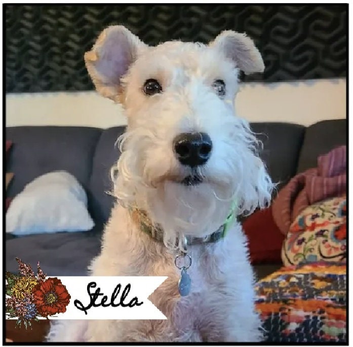 Pet Photo Tile, easel sign, photo tile - easel included, your color choice