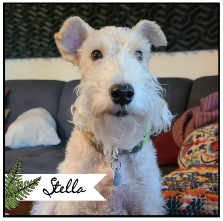 Pet Photo Tile, easel sign, photo tile - easel included, your color choice