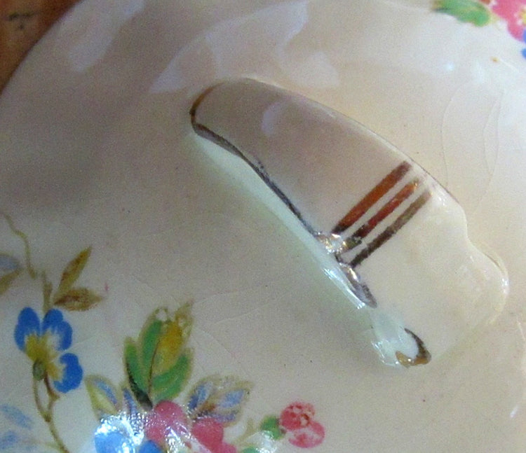 Sugar bowl. Mid century ceramic. Floral china. Gold trim. Trinket bowl. Ceramic sugar bowl. Porcelain sugar bowl. With lid. Meakin. J and G.