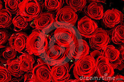 Roses