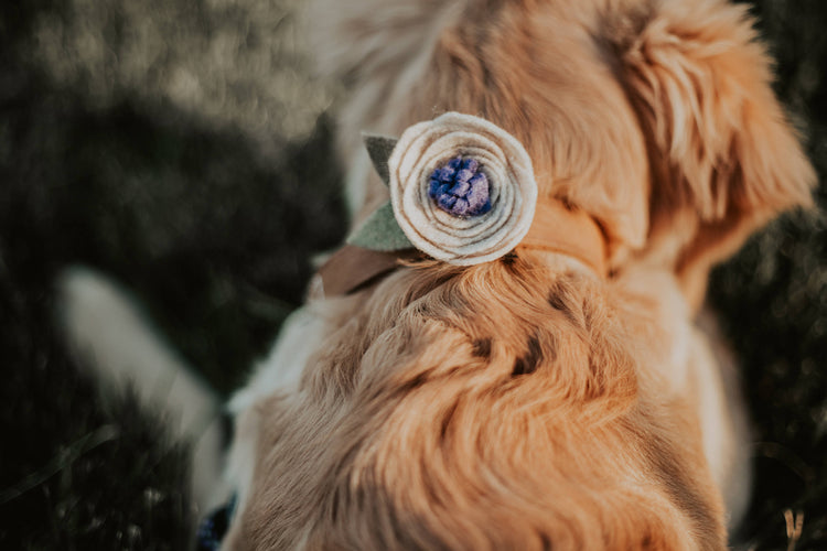CUSTOM ORDER- Attachable Flowers To Your Dog/Cat/Pet's Collar. Pet Accessories/Pet Fashion