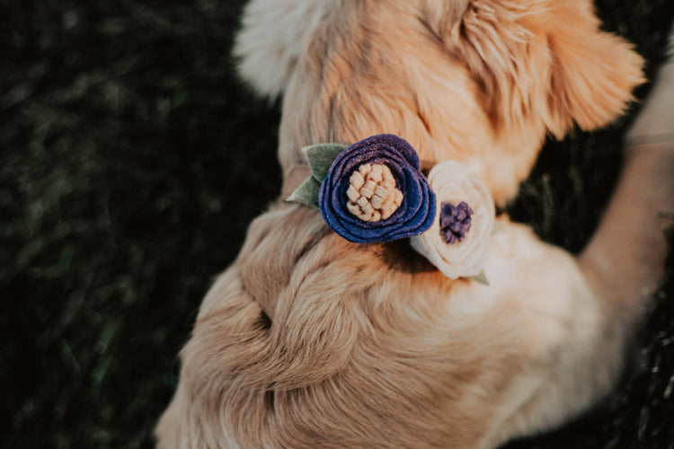 CUSTOM ORDER- Attachable Flowers To Your Dog/Cat/Pet's Collar. Pet Accessories/Pet Fashion