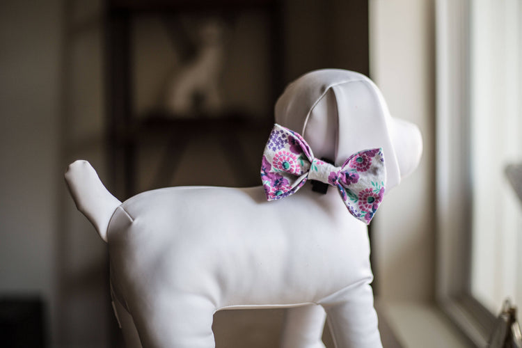 Flower Dog Bow Tie, Floral Print, Flowers, Flower Bowtie, Cat Bowtie, Fall Dog Bow Tie, Winter Dog Bow Tie