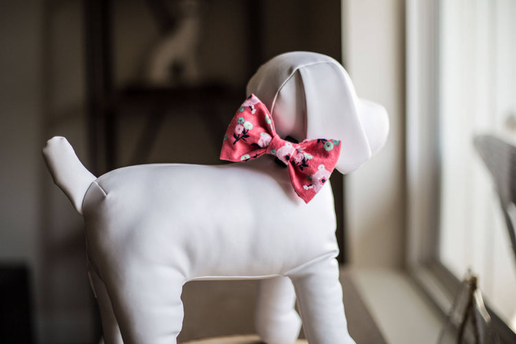 Dog Bow Tie | Dog BowTie | Dog Bow Tie Pink | Pink Bow Tie | Flower Bow Tie For Dogs | Floral Dog Bow Tie