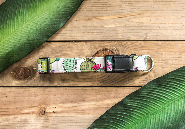 Dog Collar, Cactus Dog Collar, Cactus Collar, Succulent Collar, Cute Dog Collar, Everyday Dog Collar