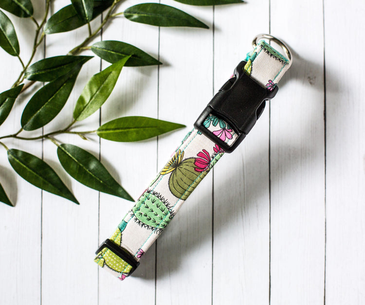Dog Collar, Cactus Dog Collar, Cactus Collar, Succulent Collar, Cute Dog Collar, Everyday Dog Collar