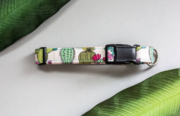 Dog Collar, Cactus Dog Collar, Cactus Collar, Succulent Collar, Cute Dog Collar, Everyday Dog Collar