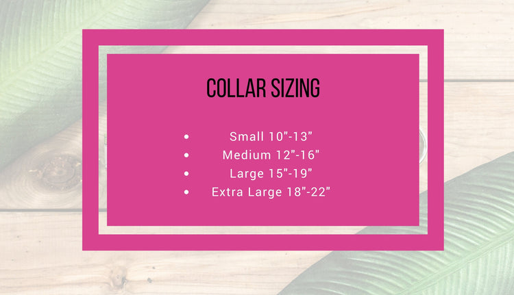 READY TO SHIPIP- Cactus Dog Collar, Dog Collar, Cactus Collar, Grey Dog Collar, Pet Accessories