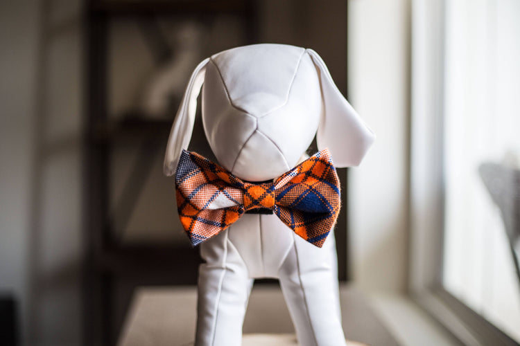 Orange and Blue  Dog Bow Tie, Flannel Dog Bowtie, Plaid Dog Bow Tie, Plaid Dog Bowtie, Cat Bowtie, Fall Dog Bow Tie, Winter Dog Bow Tie