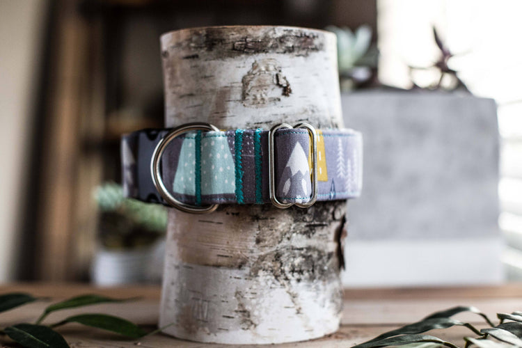 Dog Collar, Adventure Dog Collar Mountain Dog Collar Male Dog Collar, Mountain Winter Adventure Awaits Dog Collar, Winter Snow Collar