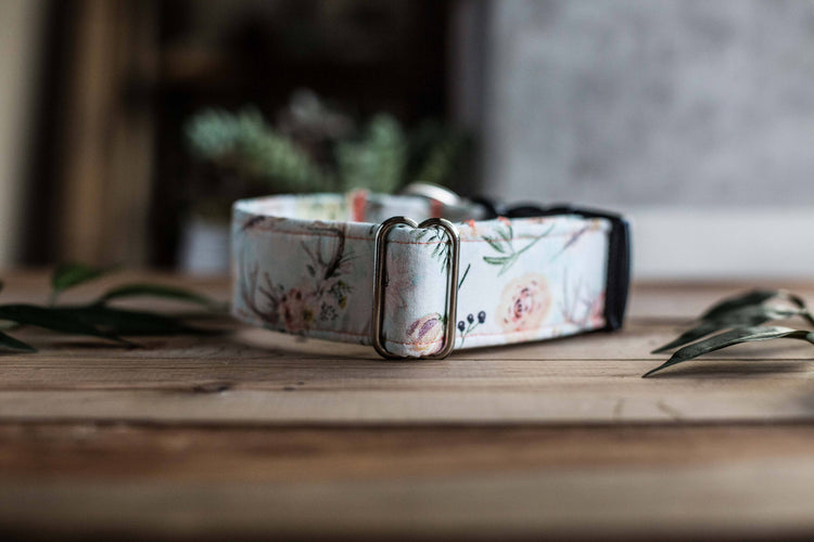 BoHo Girl- Dog Collar, Dog Collars, Cow Skull Flowers, Bohemian, Girly Dog Collar, Flower Crown, Girl Dog Collars, Floral Dog Collar, Flower