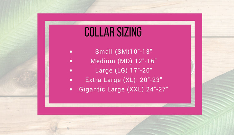 Dog Collar | Dog Leash | Collar Leash Set | Collar and Leash Set | Floral Dog Collar | Vintage Flower Dog Collar | Navy Dog Collar