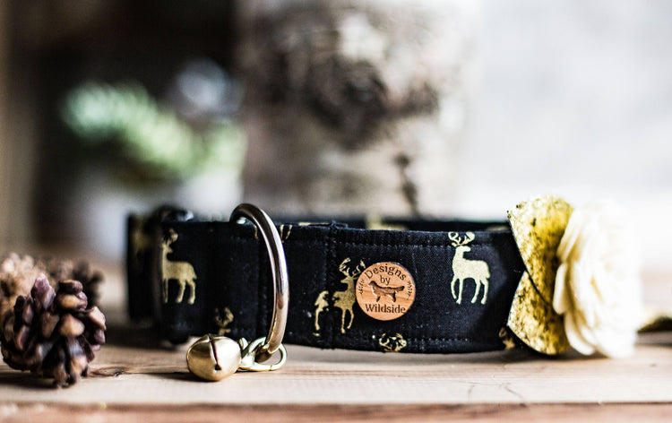 READY TO SHIP-Christmas Collar, Gold Dog Collar, Deer Collar, Black Collar, Holiday Collar, Christmas, New Years, Holiday Gift