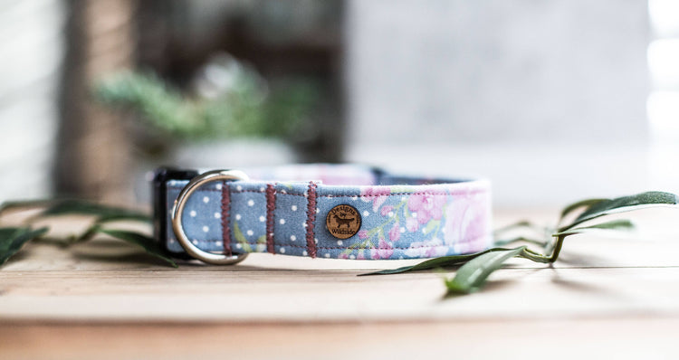 Dog Collar, Girl Dog Collar, Girly Dog Collar, Flower Dog Collar, Dog Collar Flower, Collar Flower, Pink Collar Flower