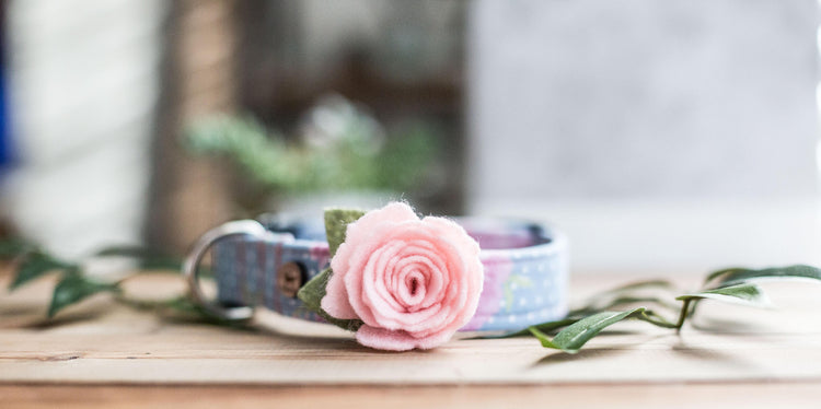 Dog Collar, Girl Dog Collar, Girly Dog Collar, Flower Dog Collar, Dog Collar Flower, Collar Flower, Pink Collar Flower