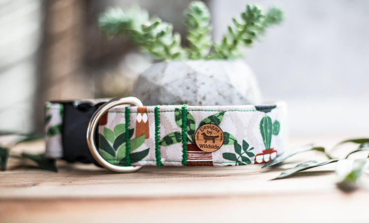 Dog Collar, Girl Dog Collar, Boy Dog Collar, Succulent Dog Collar, Cactus Dog Collar, Cat Collar