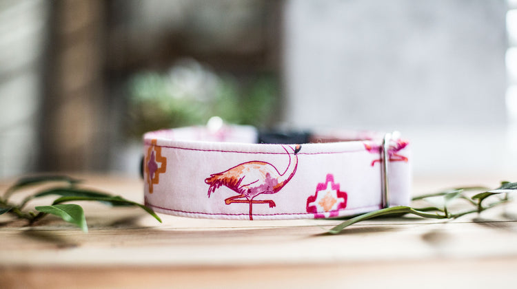 Dog Collars, Flamingo Dog Collar, Girl Dog Color, Summer Dog Collar, Southwest Dog Collar, Aztec Dog Collar