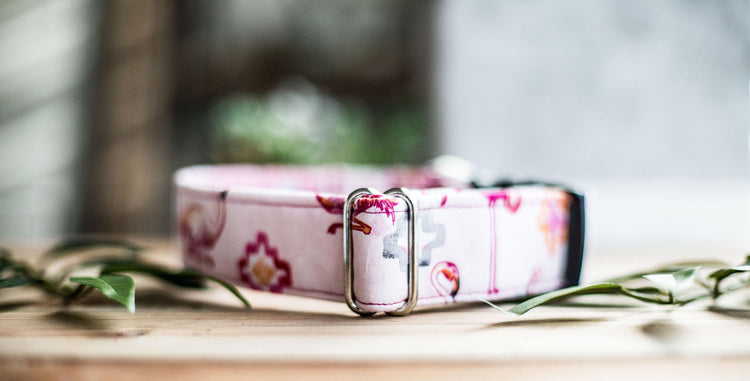 Dog Collars, Flamingo Dog Collar, Girl Dog Color, Summer Dog Collar, Southwest Dog Collar, Aztec Dog Collar