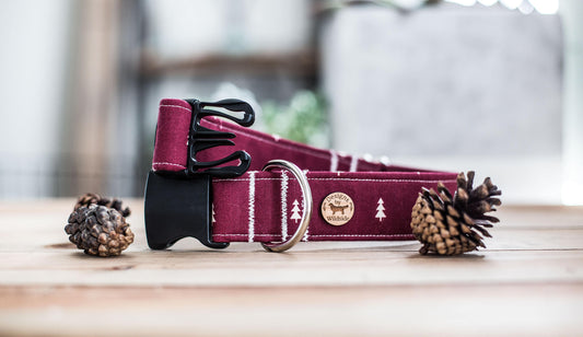 Christmas Forrest-1" & 1.5" Width,Flower Dog Collar, Holiday Gifts For Dogs Lovers, Dog Gifts, Holiday Gifts, Green Plaid , Snow Dog Collar