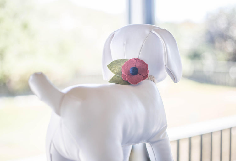 Dog Collar Flower Collar Flower For Dogs Dog Collar Collar Flower Wedding Flowers Pet Accessories Floral Dog Collar Girl Dog Collar