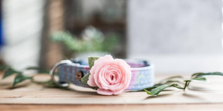 Dog Collar Flower Collar Flower For Dogs Dog Collar Collar Flower Wedding Flowers Pet Accessories Floral Dog Collar Girl Dog Collar
