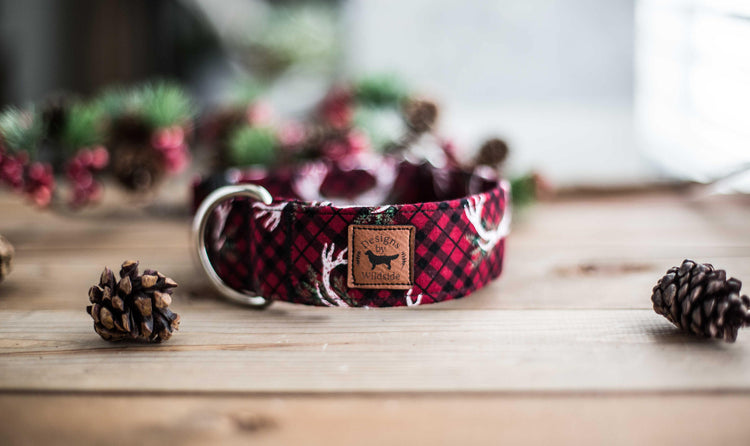 The Vixen - 1" and 1.5" Width, Christmas Plaid Dog Collar, Christmas Dog Collar, Holiday Gifts For Dogs Lovers, Dog Gifts, Holiday Gifts