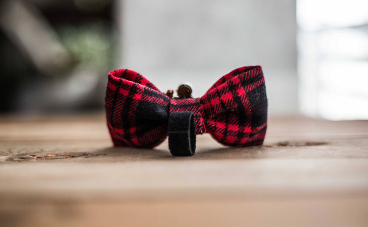 The Snowman  - Dog Bow Tie, Snowman, Christmas Bow Tie, Snowman BowTie, Christmas, Bow Tie, Dog, Christmas Dog Bow, Cat Bow Tie, Snow