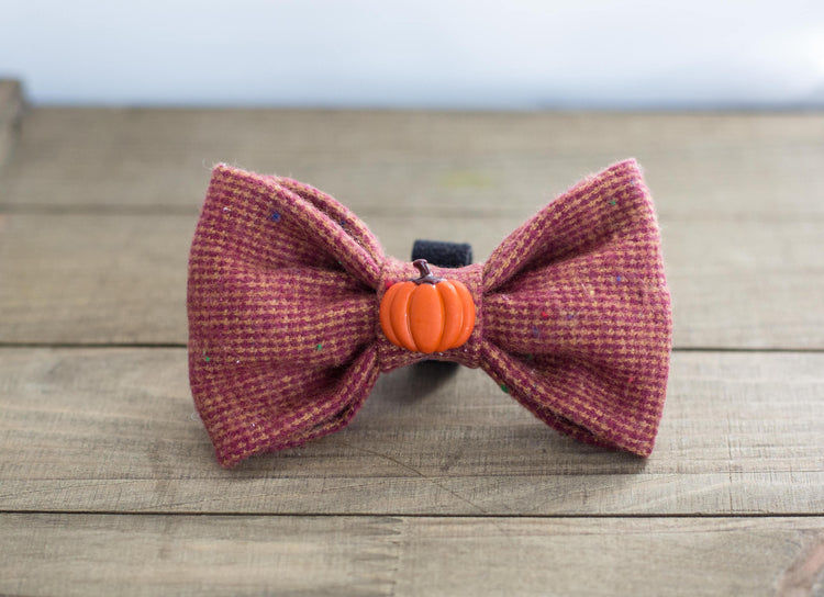 Fall Flannel Bowtie with Pumpkin, Fall Fashion, Fall Bowtie, Pet Bowtie, Dog Bow tie, Dog Bowtie, Pumpkin Bowtie, Pumpkin Dog Bowtie