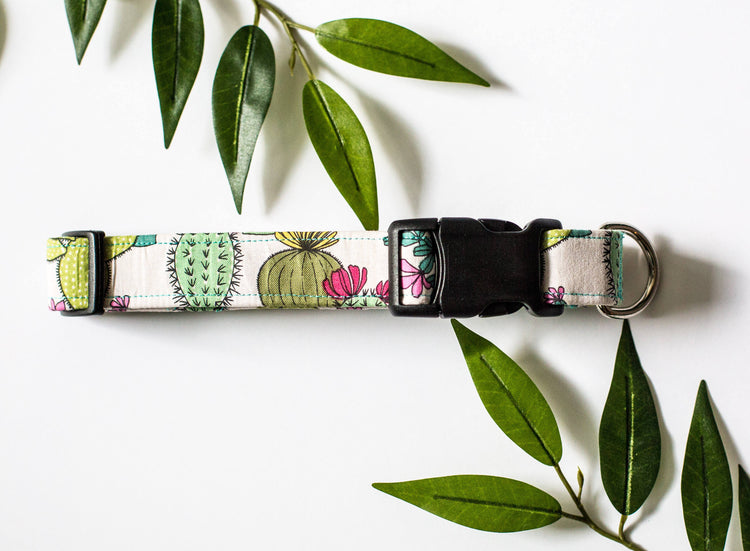Dog Collar, Cactus Dog Collar, Cactus Collar, Succulent Collar, Cute Dog Collar, Everyday Dog Collar