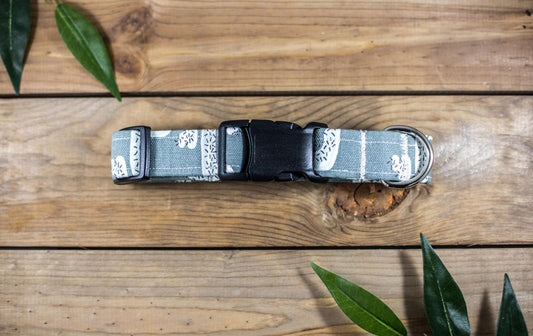 READY TO SHIPIP- Cactus Dog Collar, Dog Collar, Cactus Collar, Grey Dog Collar, Pet Accessories