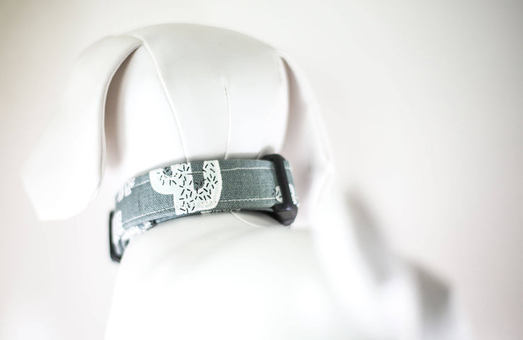 READY TO SHIPIP- Cactus Dog Collar, Dog Collar, Cactus Collar, Grey Dog Collar, Pet Accessories