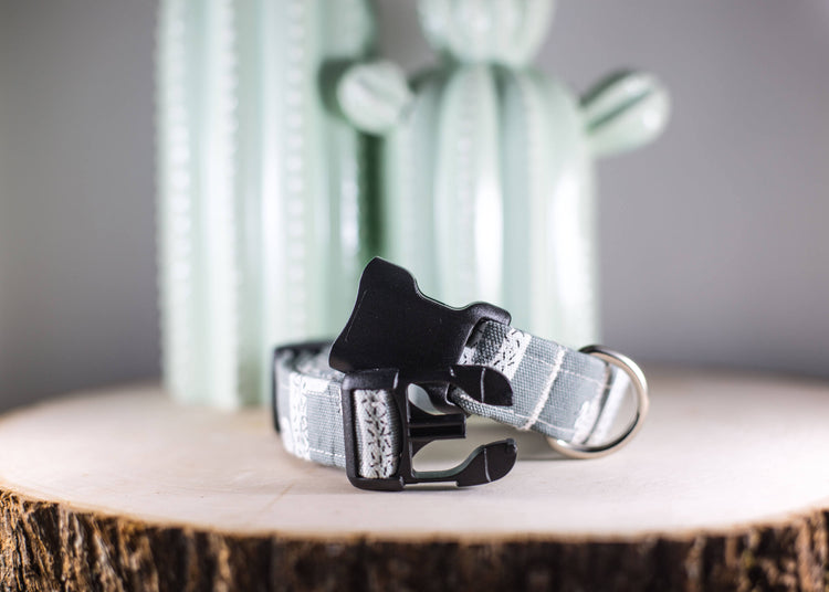 READY TO SHIPIP- Cactus Dog Collar, Dog Collar, Cactus Collar, Grey Dog Collar, Pet Accessories