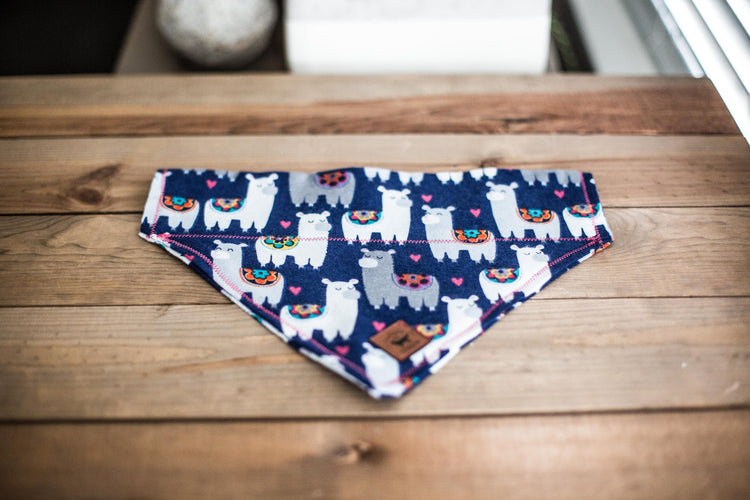 Dog Bandana Dog Collar Over The Collar Bandana Snap On Bandana Boy Dog Bandana Girl Dog Bandana Cute Dog Bandana Pet Accessories Pet Bandana