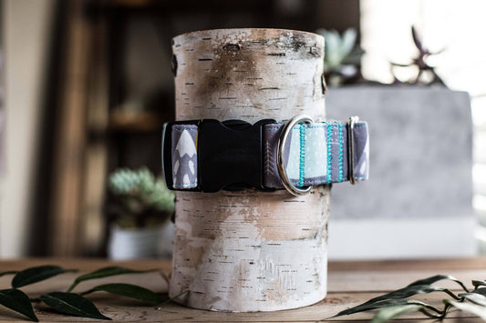 Dog Collar, Adventure Dog Collar Mountain Dog Collar Male Dog Collar, Mountain Winter Adventure Awaits Dog Collar, Winter Snow Collar