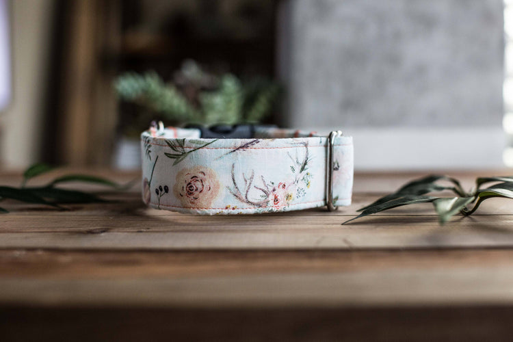 READY TO SHIP-BoHo Girl- Dog Collar, Dog Collars, Cow Skull Flowers, Bohemian, Girly Dog Collar, Girl Dog Collars, Floral Dog Collar, Flower