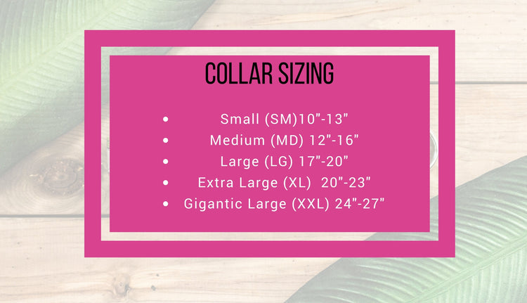 Dog Collar, Girl Dog Collar, Boy Dog Collar, Succulent Dog Collar, Cactus Dog Collar, Cat Collar