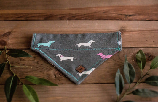 READY TO SHIP! Dachshund, Dachshund Bandana, Dog Bandana, Cat Bandana, Cute Bandana, Dachshund Print, Over The Collar Bandana