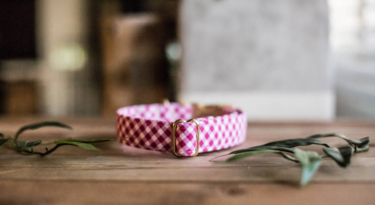 Dog Collar, Valentine's Day Collar, Pink Collar, Girl Collar, Cat Collar, Girly Collar, Gingham Collar, Pink Plaid Collar, Pink Plaid Collar