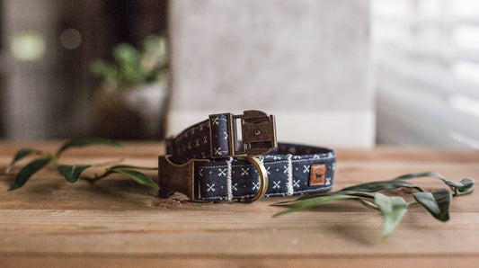 Dog Collar, Boy Dog Collar, Blue Dog Collar, Puppy Collar, Collar and Bowtie, Bowtie Collar, Collar with Bow Tie, Arrow Collar, Blue Collar