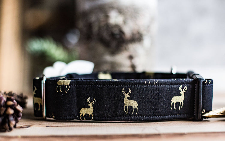 READY TO SHIP-Christmas Collar, Gold Dog Collar, Deer Collar, Black Collar, Holiday Collar, Christmas, New Years, Holiday Gift