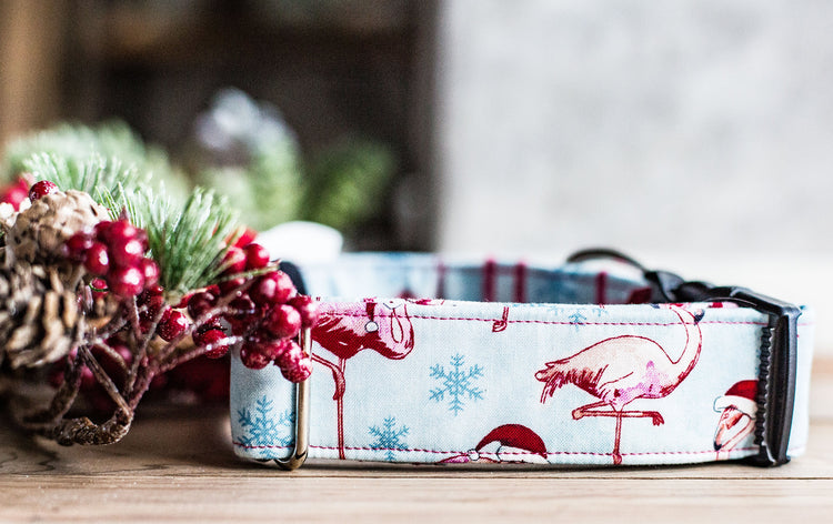 Christmas In Miami- 1" and 1.5" Width, Flamingo Dog Collar, Christmas Dog Collar, Holiday Gifts For Dogs Lovers, Dog Gifts, Holiday Gifts