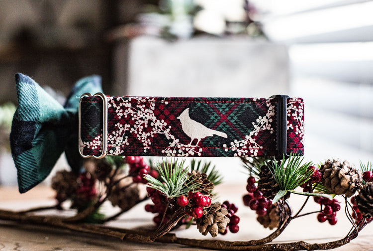 READY TO SHIP-Holly Berry-Christmas Plaid Dog Collar, Christmas Dog Collar, Holiday Gifts For Dogs Lovers, Dog Gifts, Holiday Gifts