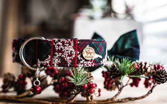 READY TO SHIP-Holly Berry-Christmas Plaid Dog Collar, Christmas Dog Collar, Holiday Gifts For Dogs Lovers, Dog Gifts, Holiday Gifts