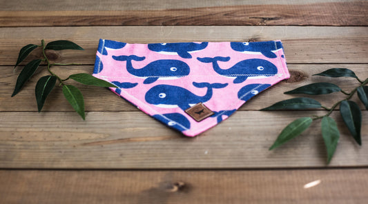 Dog Bandana Dog Collar Over The Collar Bandana Snap On Bandana Boy Dog Bandana Girl Dog Bandana Cute Dog Bandana Pet Accessories Pet Bandana