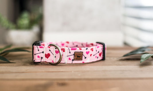 Dog Collar, Valentine's Day Collar, Pink Collar, Girl Collar, Cat Collar, Girly Collar, Hearts Collar, Pink Collar
