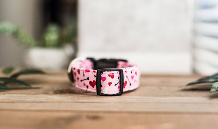 Dog Collar, Valentine's Day Collar, Pink Collar, Girl Collar, Cat Collar, Girly Collar, Hearts Collar, Pink Collar