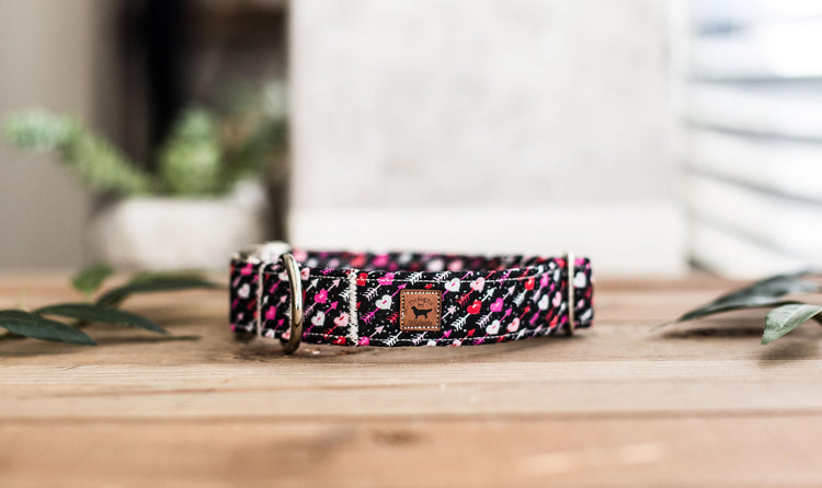 Valentine Dog Collar | Heart Dog Collar | Boy Dog Collar | Girl Dog Collar | Pink Dog Collar | Black Dog Collar | Red Dog Collar
