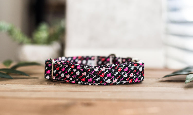 Valentine Dog Collar | Heart Dog Collar | Boy Dog Collar | Girl Dog Collar | Pink Dog Collar | Black Dog Collar | Red Dog Collar