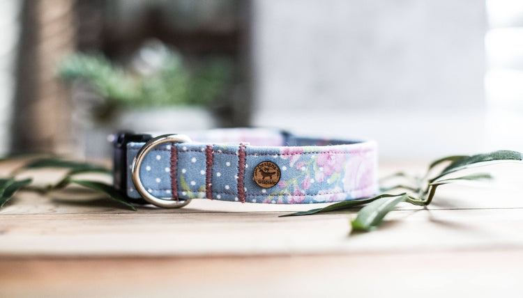 Dog Collar, Girl Dog Collar, Girly Dog Collar, Flower Dog Collar, Dog Collar Flower, Collar Flower, Pink Collar Flower